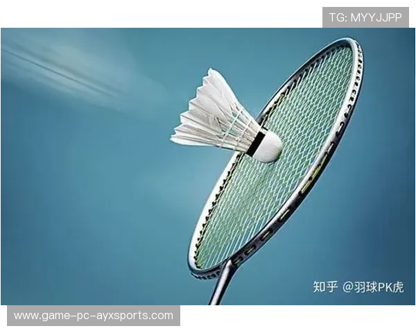 羽毛球联赛商业合作模式解析：钱从何来？